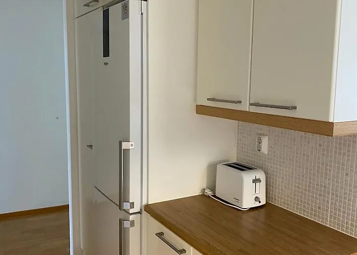 New! A Wonderful Gem! Private Yard, Carport And Sauna Apartment *